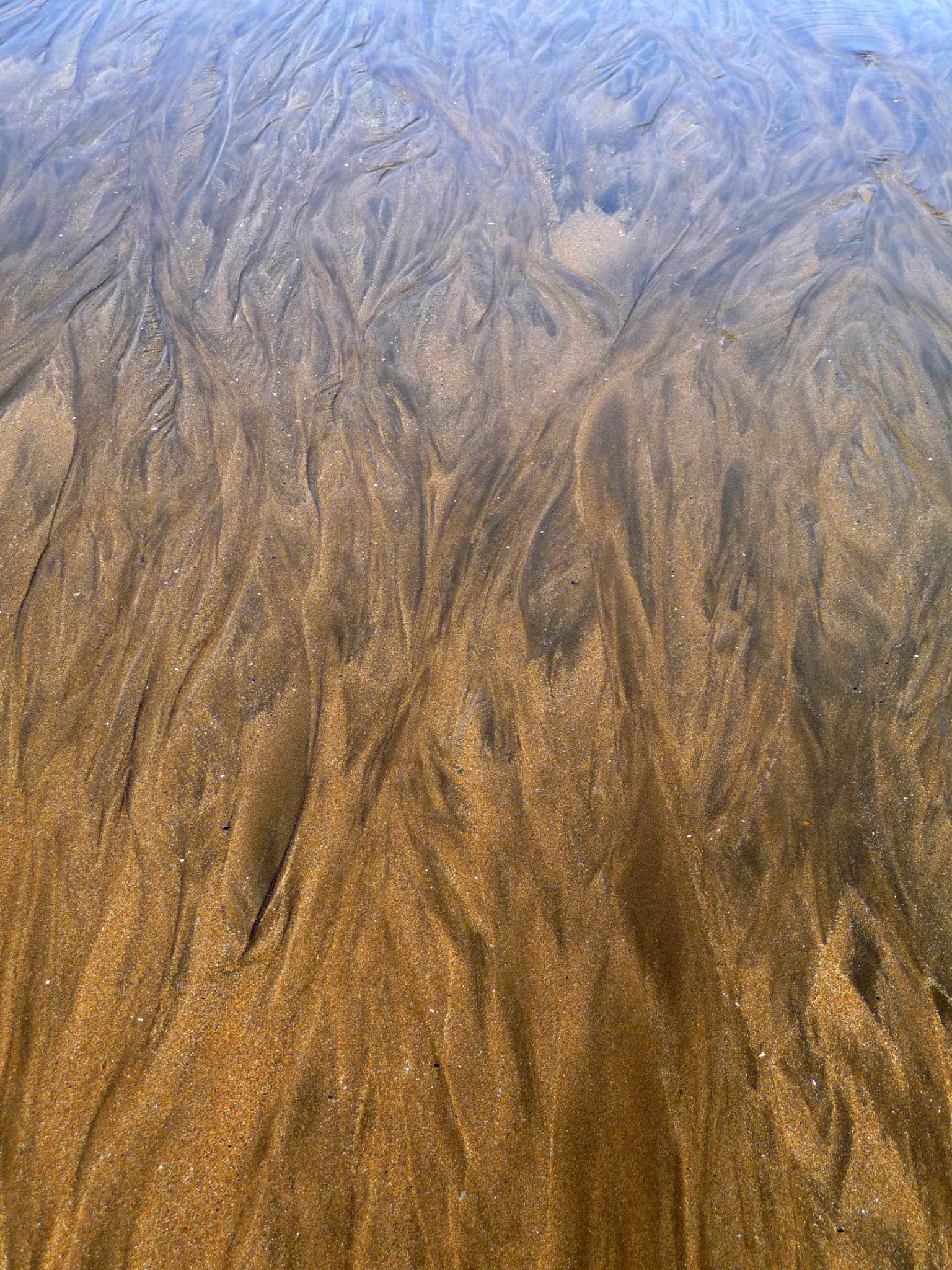 A natural formation of a pattern in sand at a beach